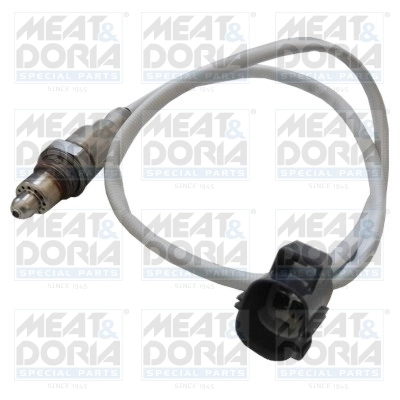 Oxygen Sensor